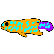 026