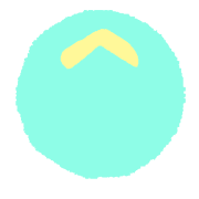 231