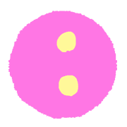 244