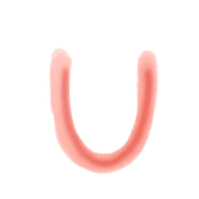 021