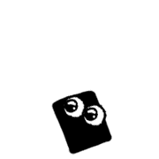 256