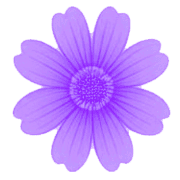008
