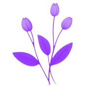010