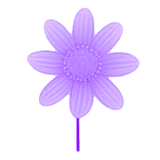 017