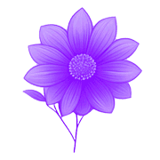 021