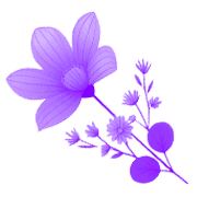 025