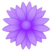 029