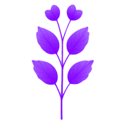 030