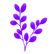 031