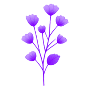 034