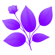 038