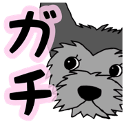 009