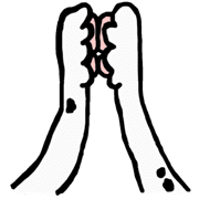 023