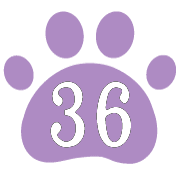 036