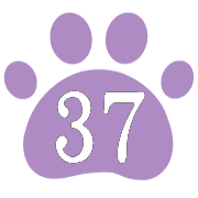 037
