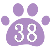 038