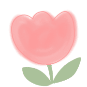029