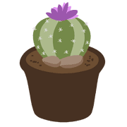 031