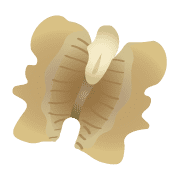 029