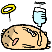 032