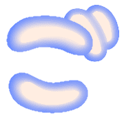 060