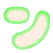 126