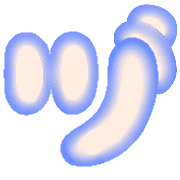 148