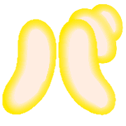 151