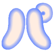 156
