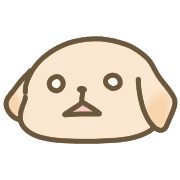 019