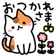 003
