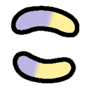 010