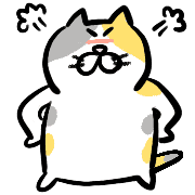 003
