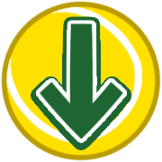 261