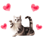 003