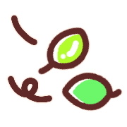 177