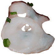 025