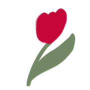 019