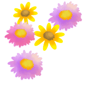 029