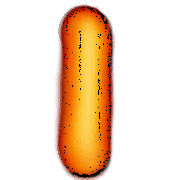 199