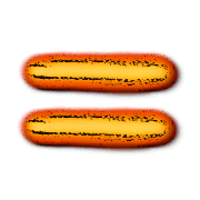 239