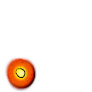 246