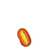 256