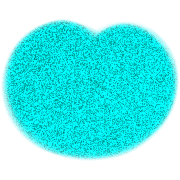 021