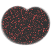 036