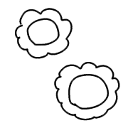 009