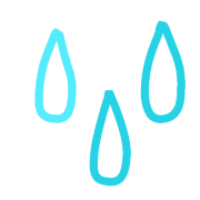 019