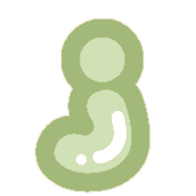 036