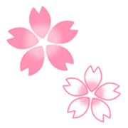 005