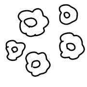 004